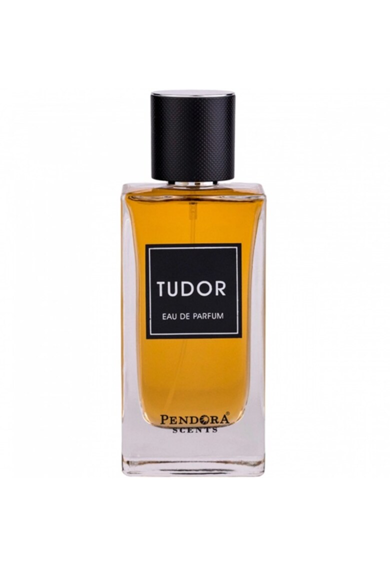 Apa de parfum Tudor - Barbati - 100ml