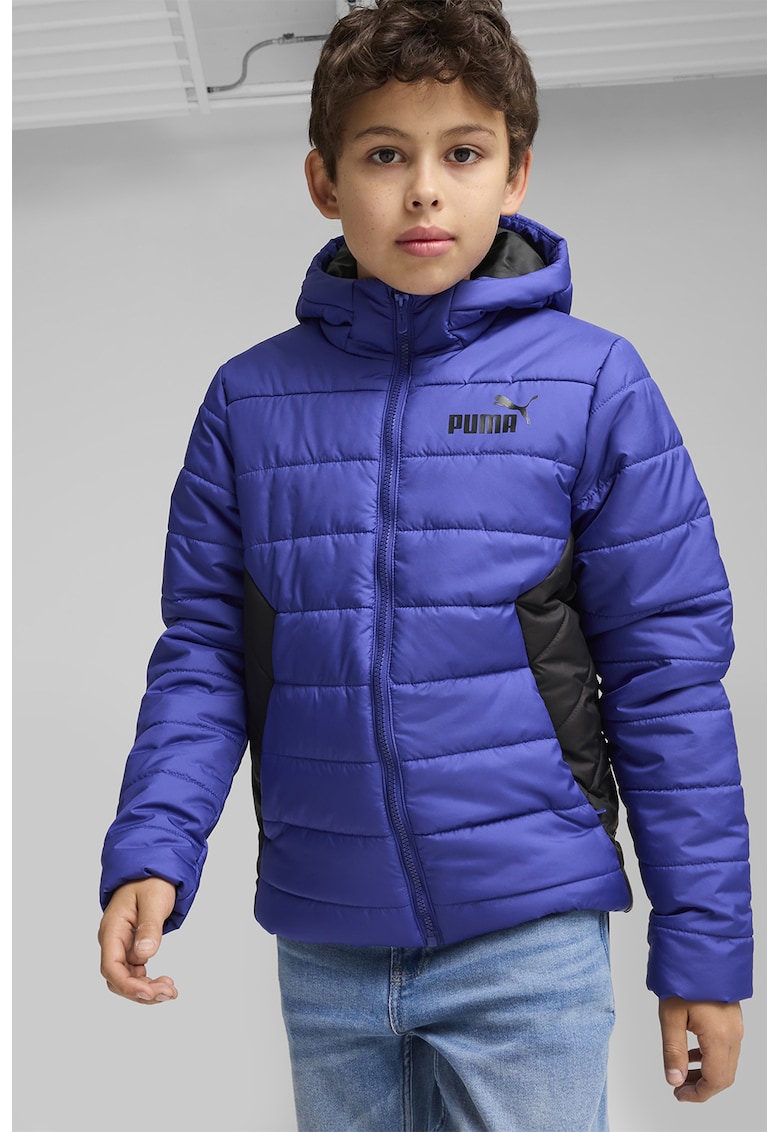 Geaca cu gluga si vatelina Essentials - Negru/Albastru royal