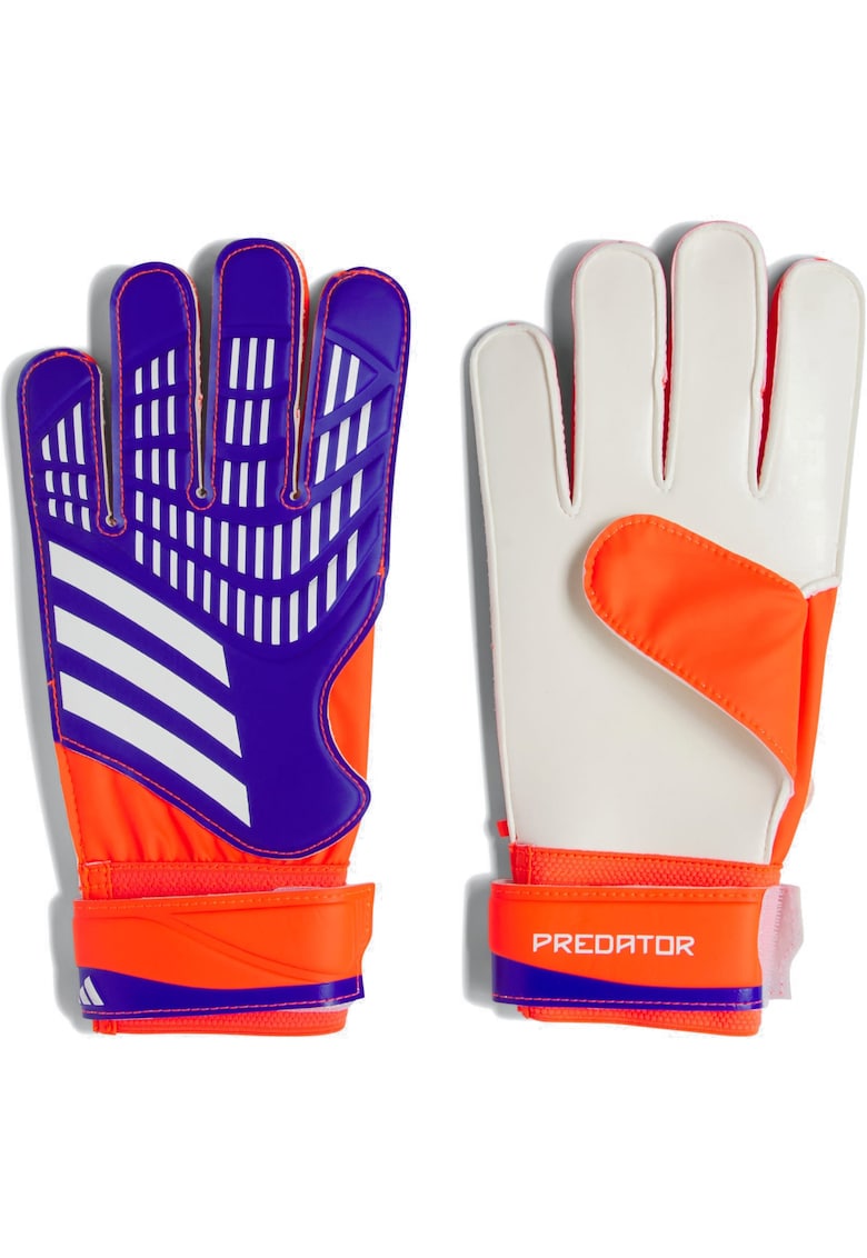 Manusi portar Adidas Predator Training