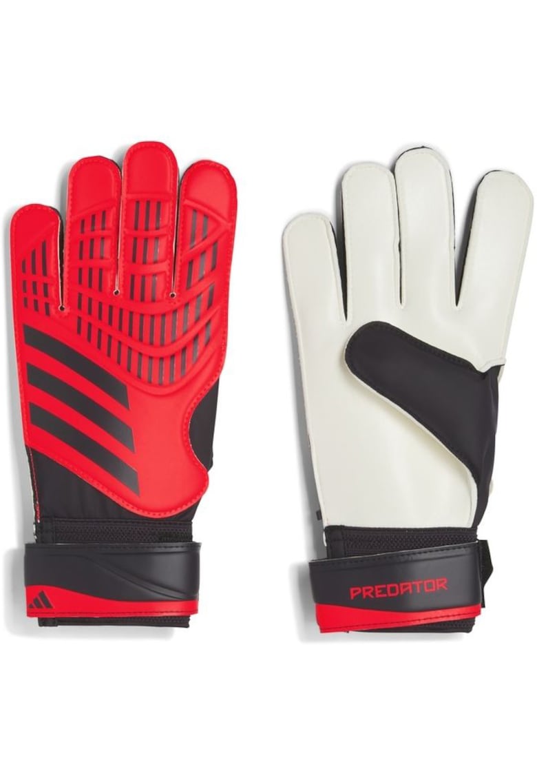 Manusi portar Adidas Predator Training