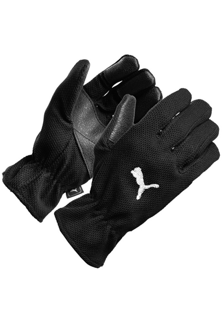 Manusi iarna  Winter Players