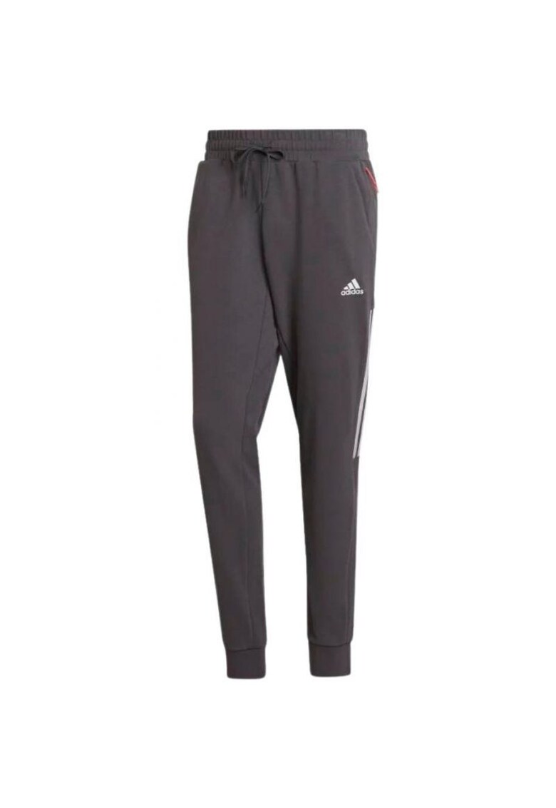 Pantaloni sport pentru barbati Poliester/Bumabc - Gri