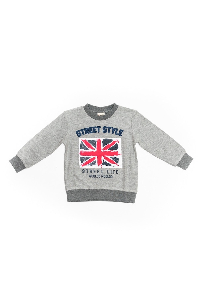 Bluza cu imprimeu - Flag - baieti - 31741