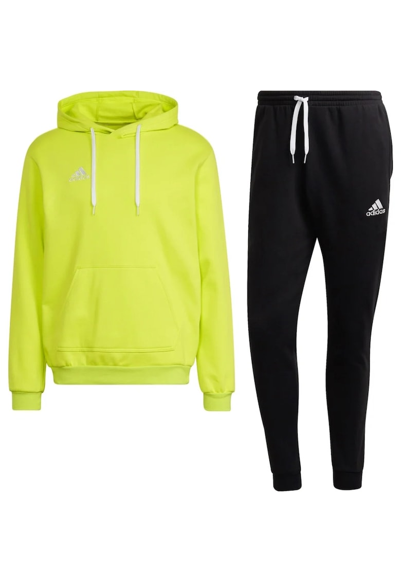 Trening Entrada 22 Cotton barbati