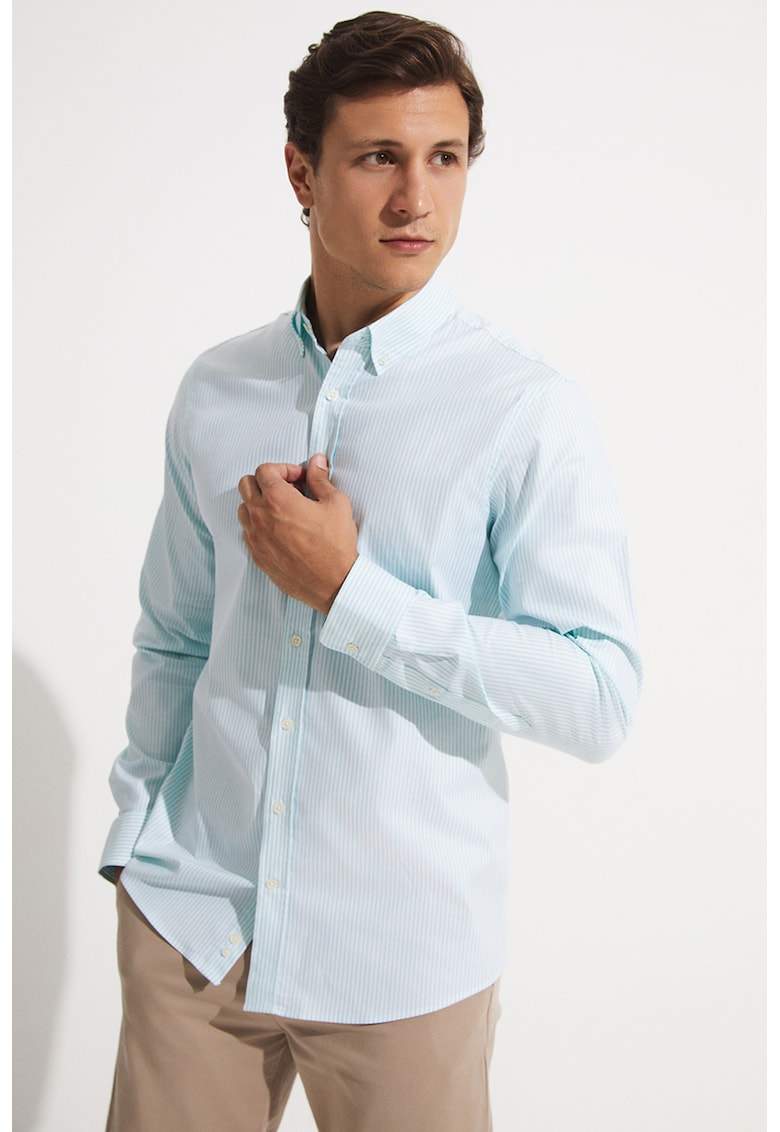 Camasa cu model in dungi si guler ascutit