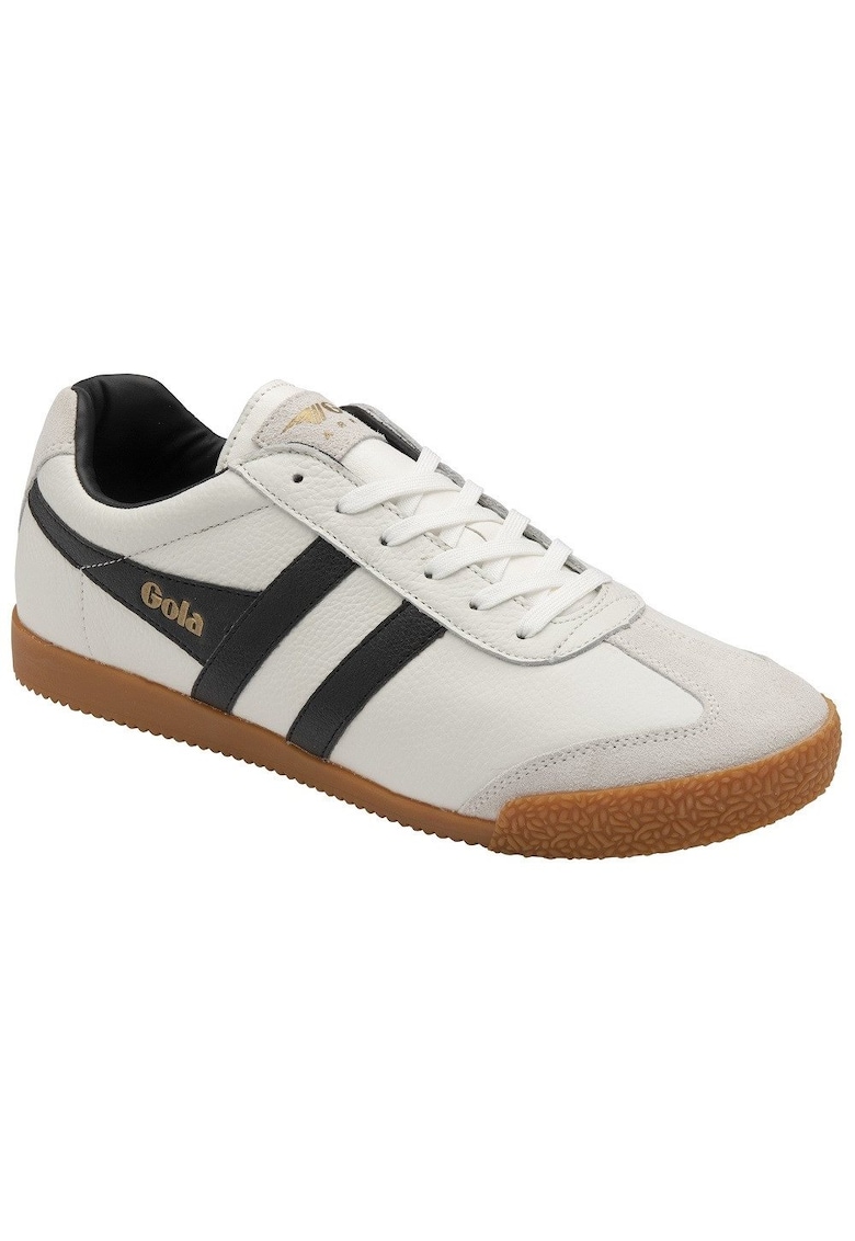 Pantofi barbati Harrier - Piele naturala - Negru