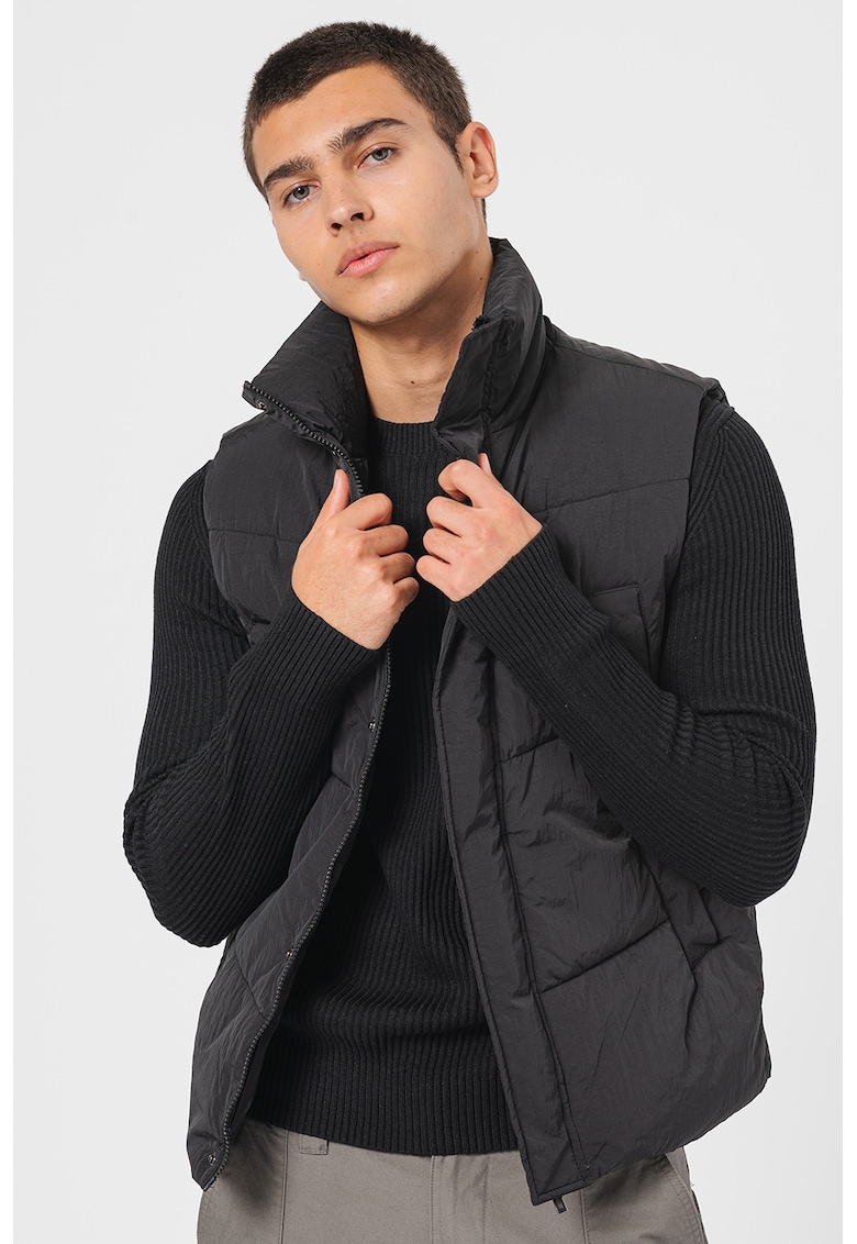 Vesta matlasata Scott