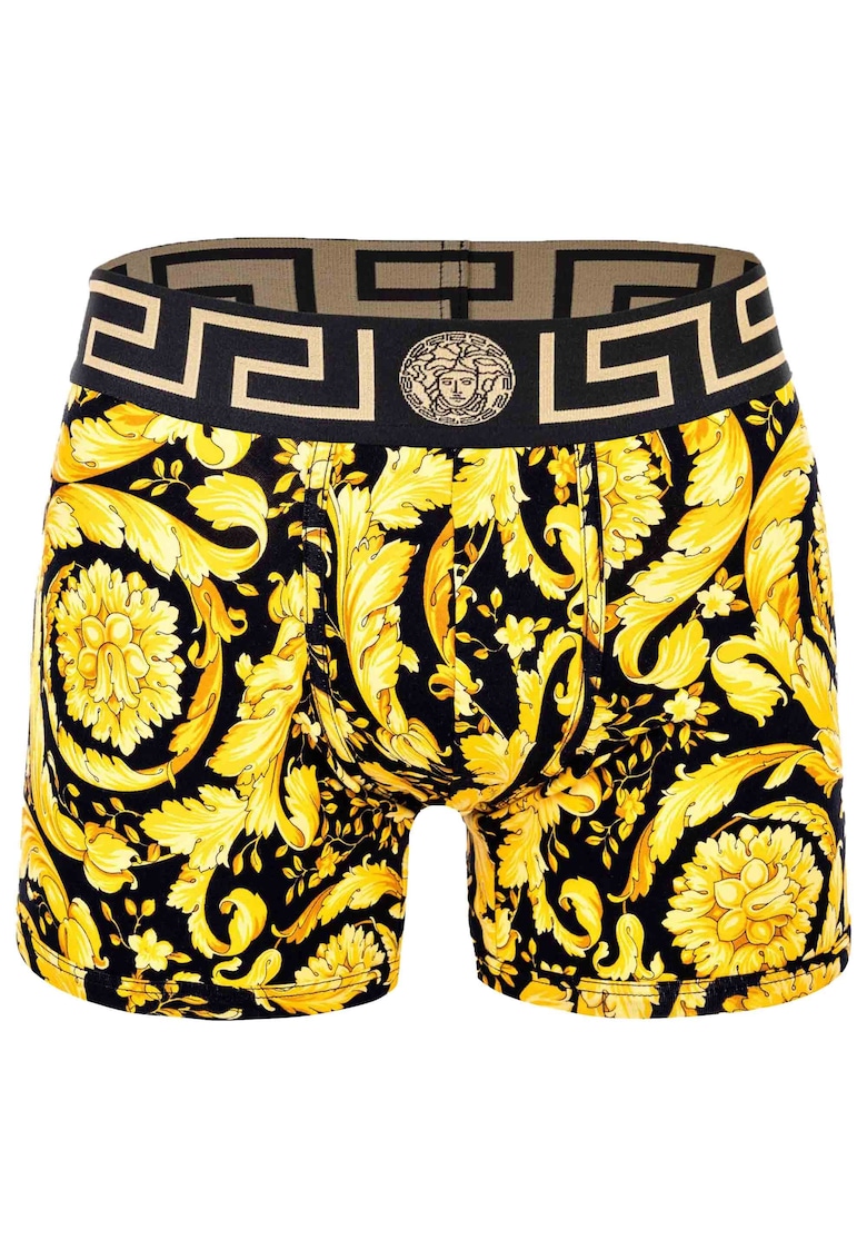 Boxeri cu model baroc