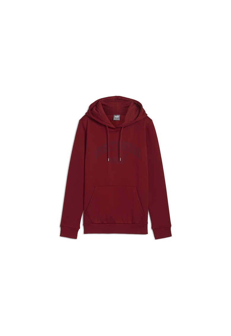 Hanorac  ESS+ LOGO LAB Hoodie FL 68298713