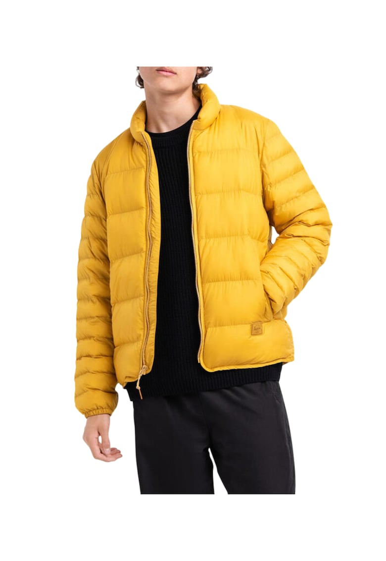 Jacheta matlasata uni