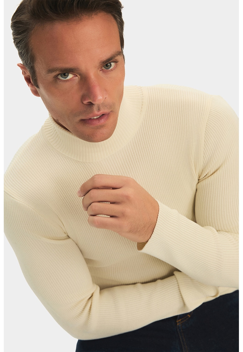 Pulover striat slim fit cu guler inalt Pulover striat slim fit cu guler inalt