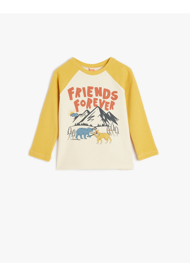 Bluza cu imprimeu grafic si maneci raglan