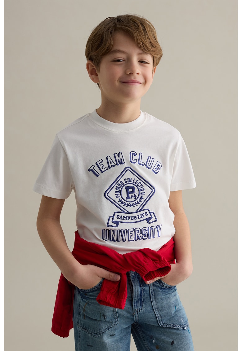 Tricou regular fit cu imprimeu grafic