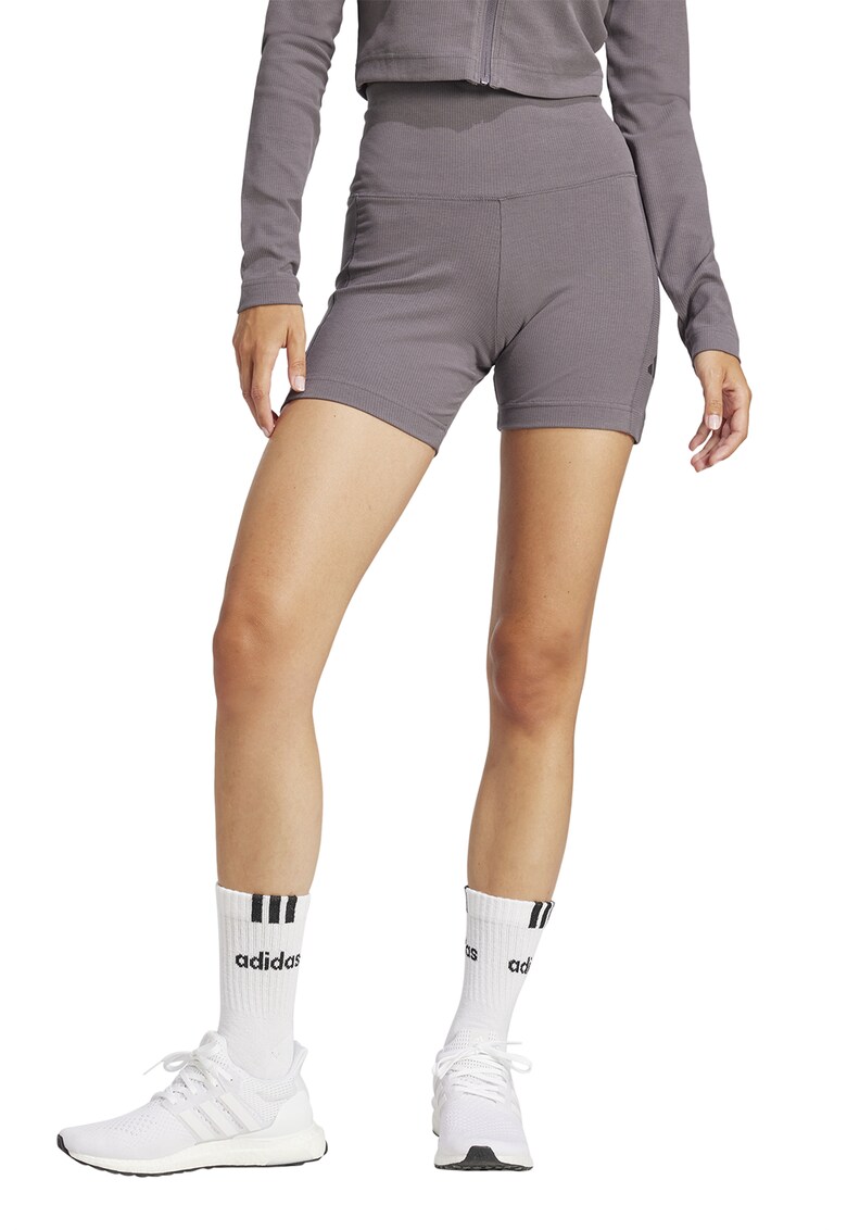 Colanti scurti ALL SZN - Gri inchis