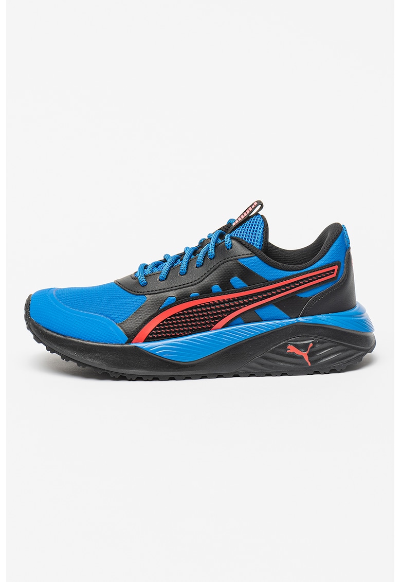 Pantofi sport cu logo Excursion - Negru/Albastru royal