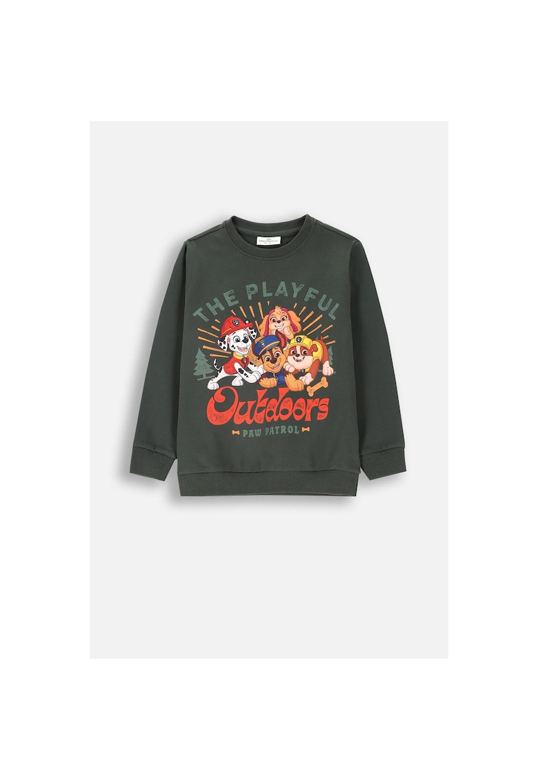 Bluza baieti -  304483516 - Bumbac - Verde