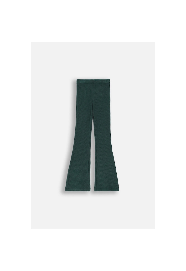Colanti striati - Verde