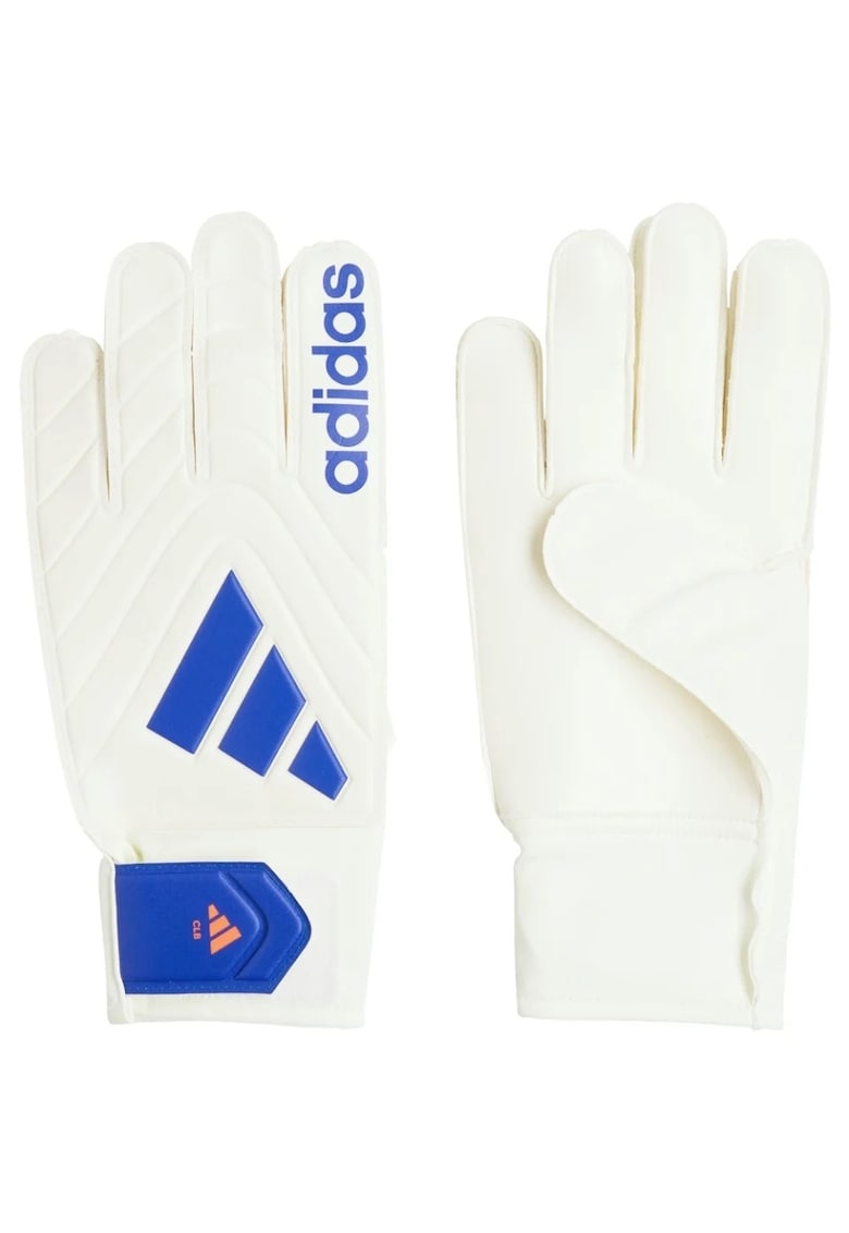 Manusi portar  Copa Club - visiniu/alb/negru