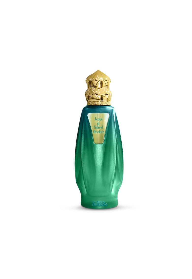 Parfum Acqua di Nabeel Absolut - 100ml