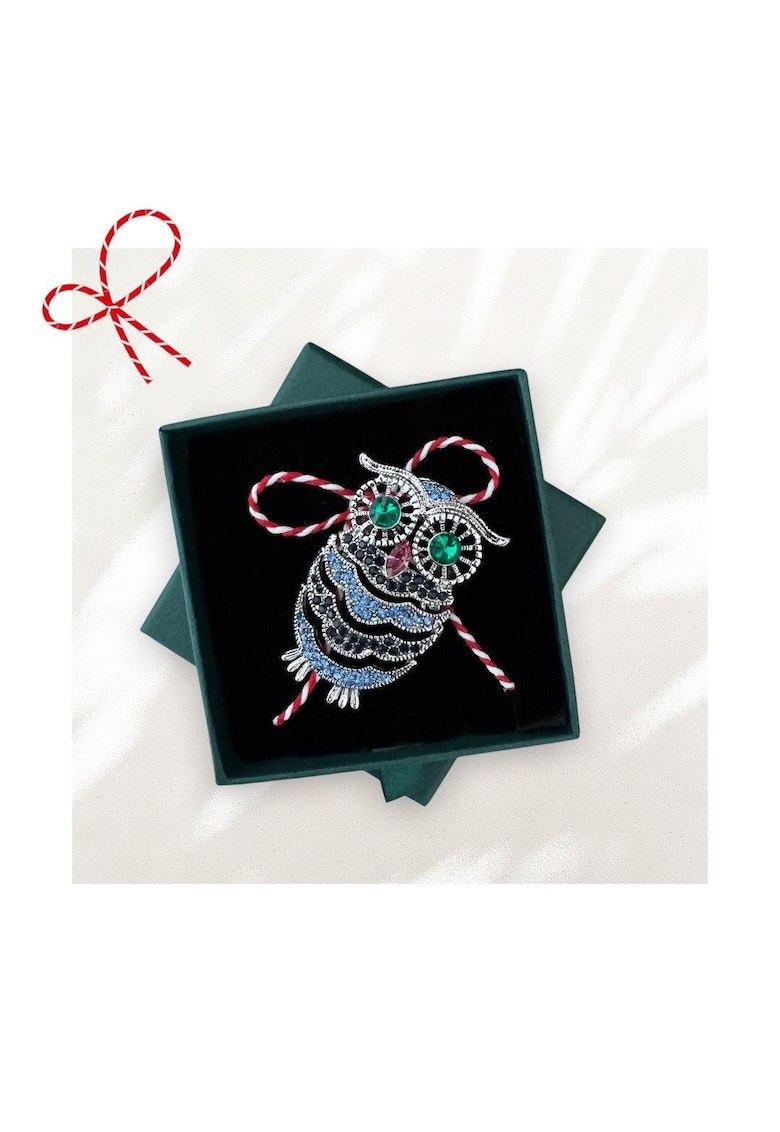 Brosa argintie - forma de bufnita - cu snur de martisor si cutiuta cadou - Aliana