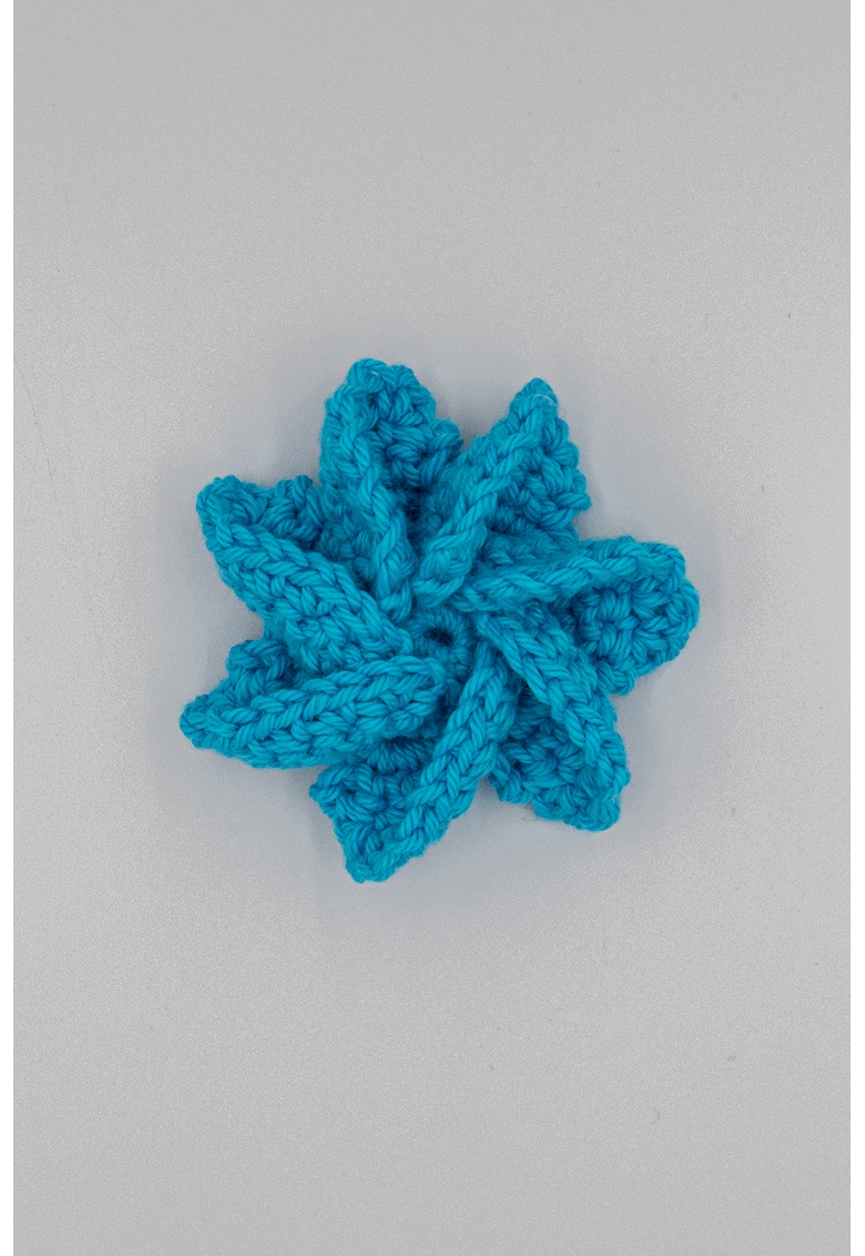 Clama tricotata Clama tricotata