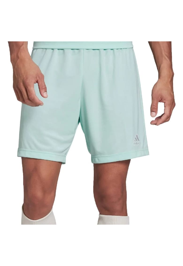 Pantaloni  Entrada 22 - pentru barbati