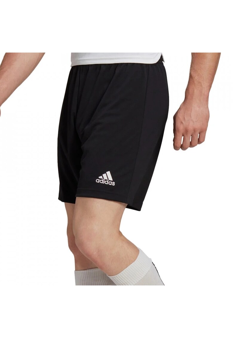 Pantaloni Entrada 22 barbati