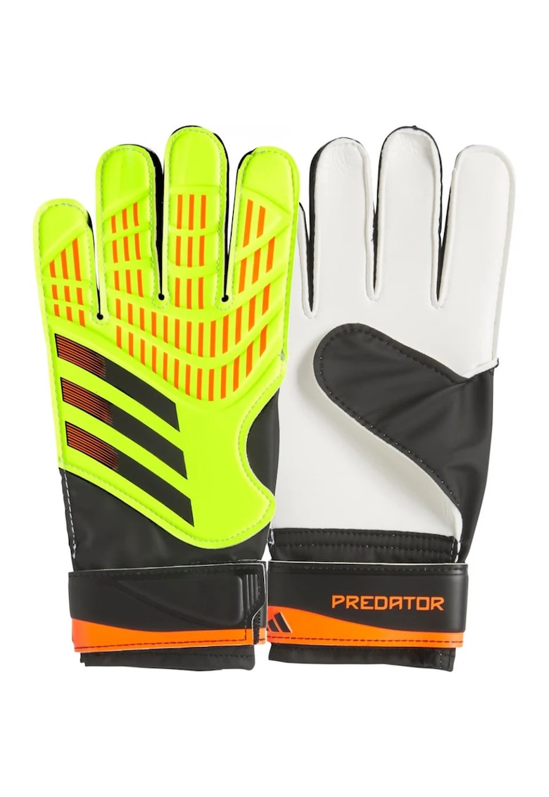 Manusi portar  Predator Training - verde neon/alb/negru -