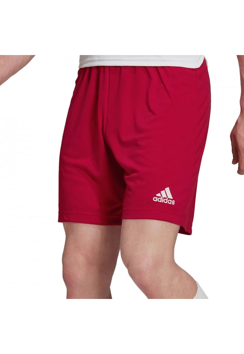 Pantaloni  Entrada 22 - pentru barbati