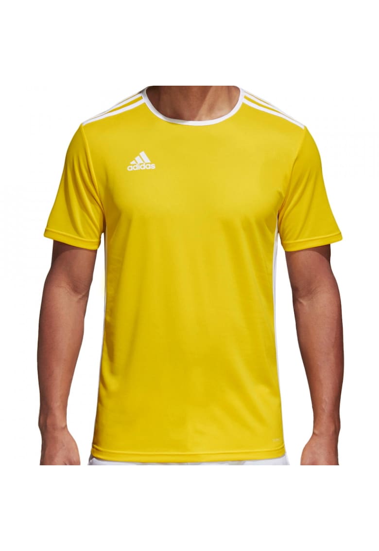 Tricou Entrada 18 barbati - Galben