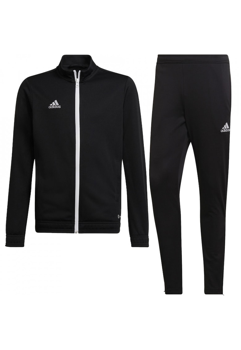 Trening Entrada 22 Track barbati