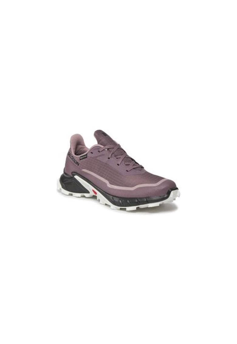 Pantofi alergat pentru dama  303486976 - Textil - Violet