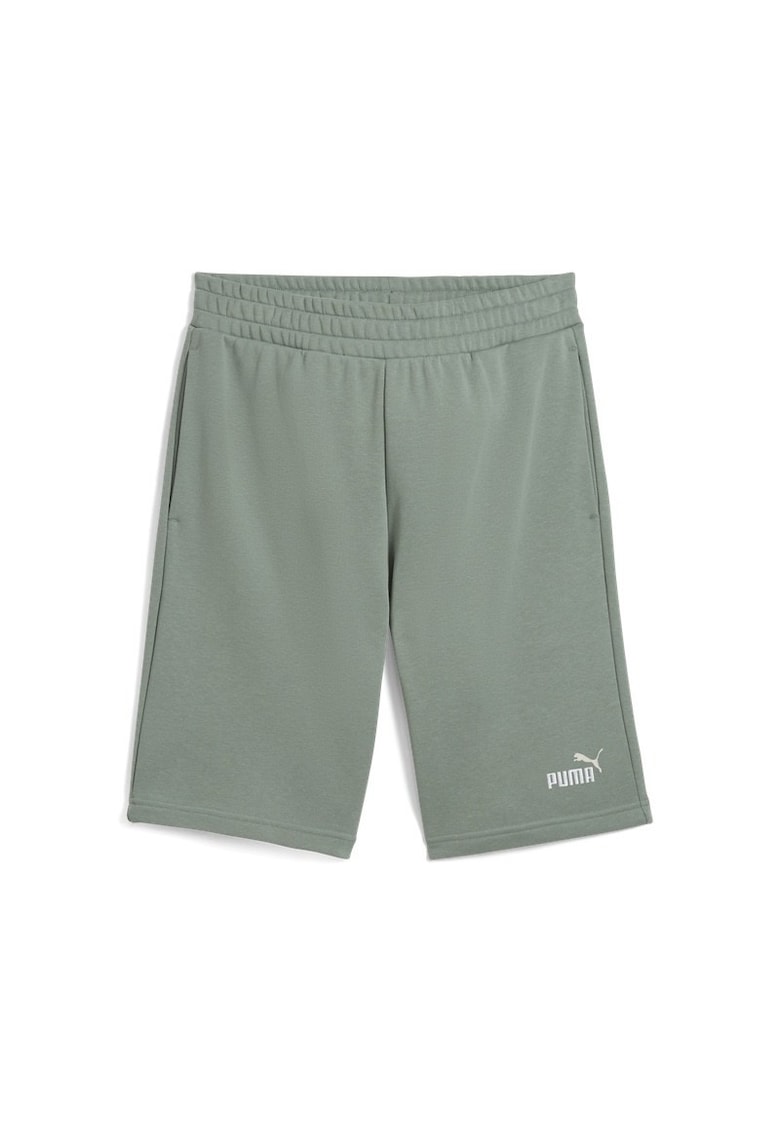 Sort  ESS 2 COLOR No. 1 Logo Shorts 10"" TR-684715-30