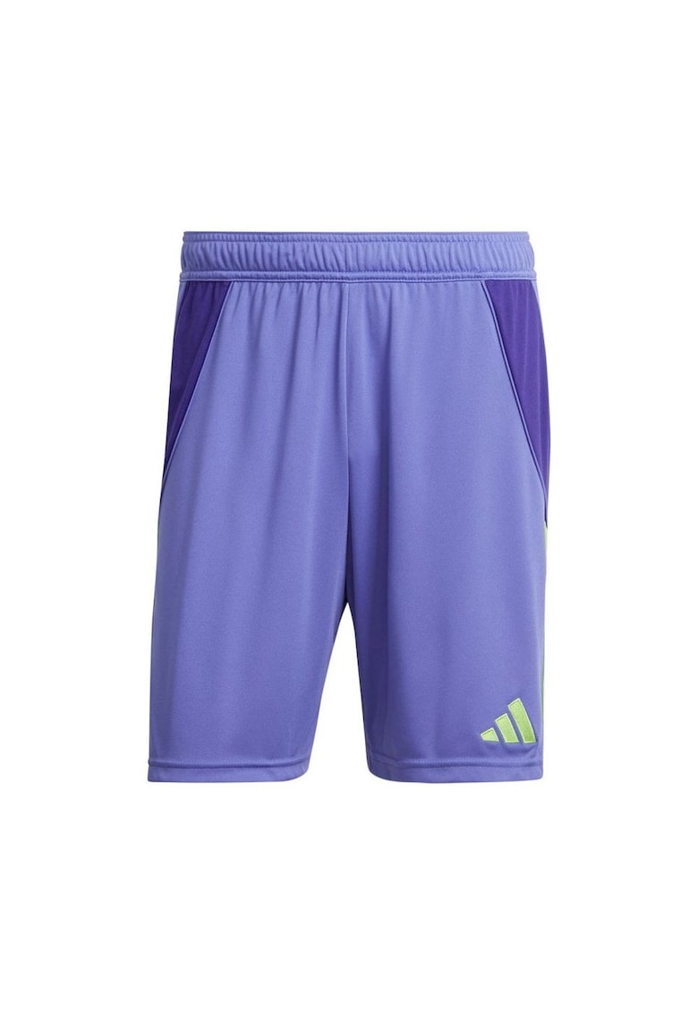 Pantaloni sport barbati - scurti - violet - sintetic - antrenament - vara