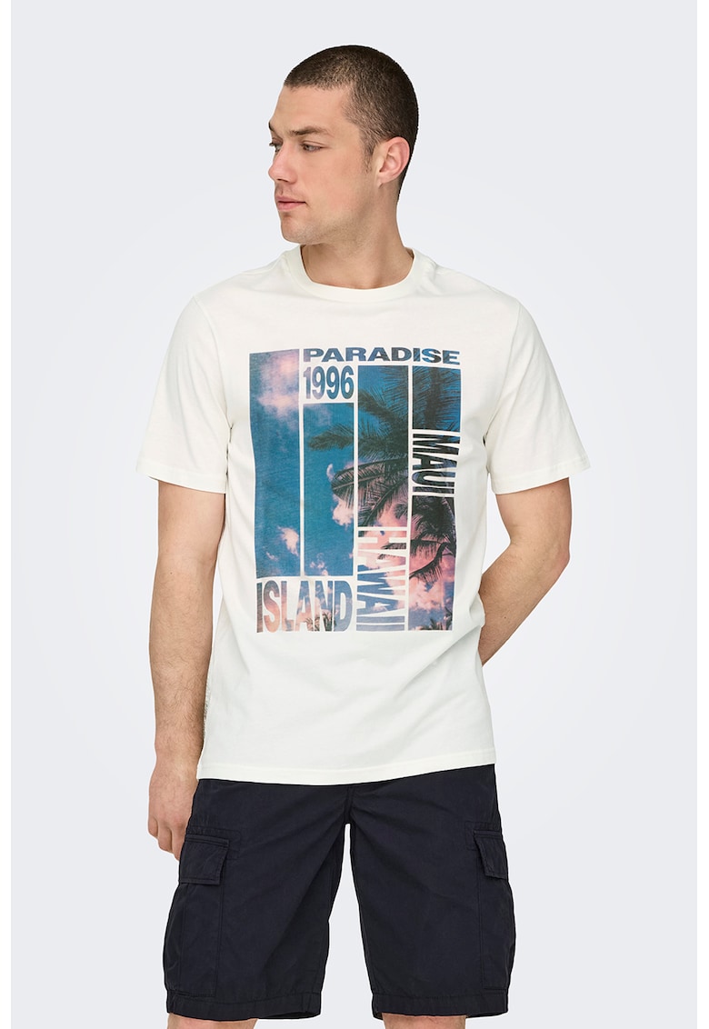 Tricou de bumbac organic - Albastru lavanda/Alb murdar/Ametist