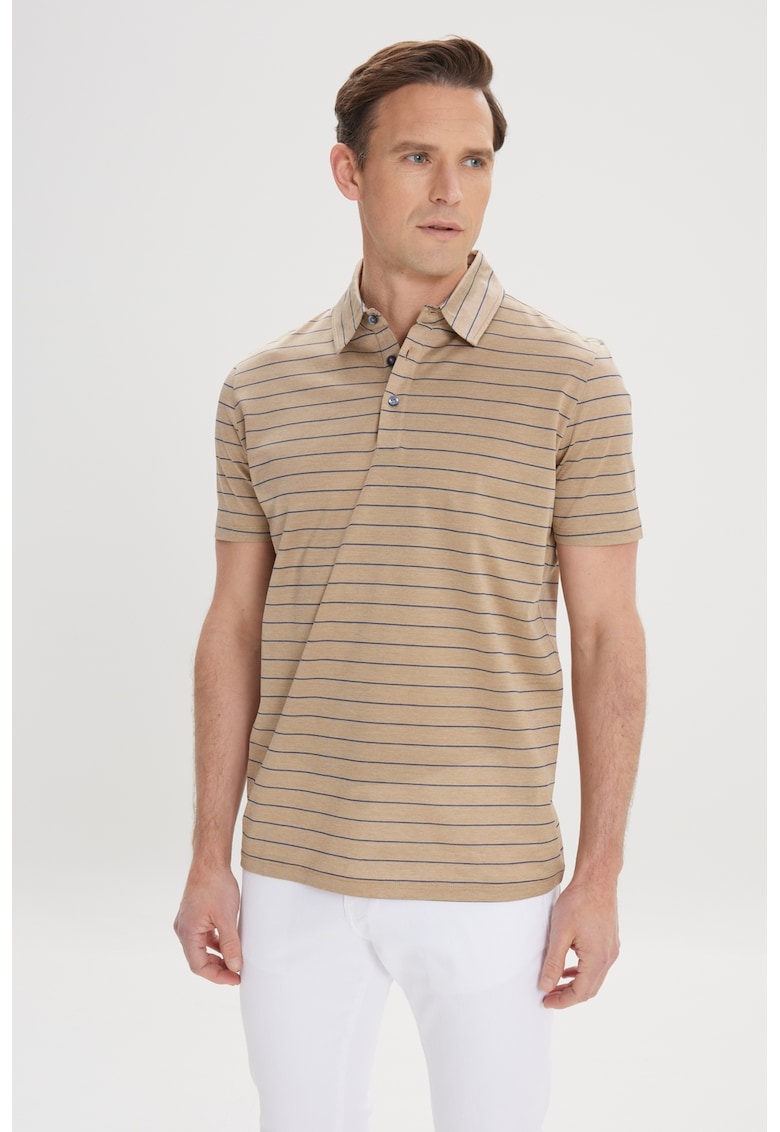 Tricou polo din bumbac cu model in dungi