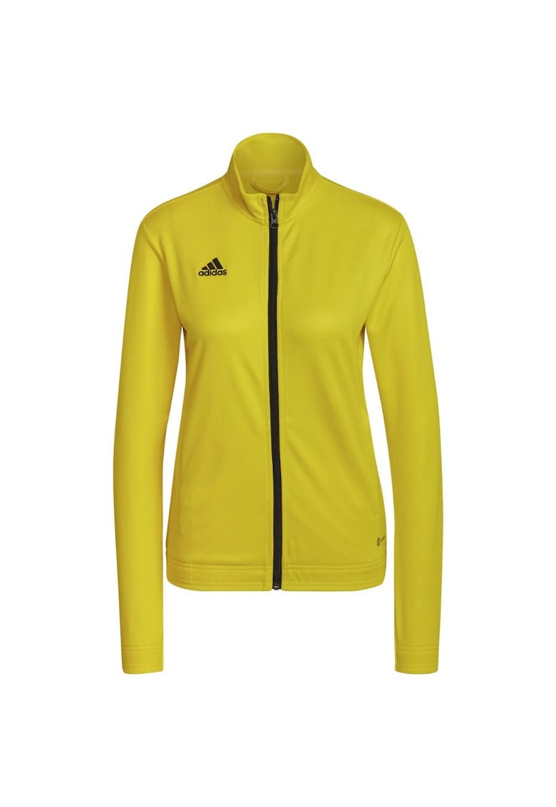 Hanorac pentru femei - Entrada 22 - Galben