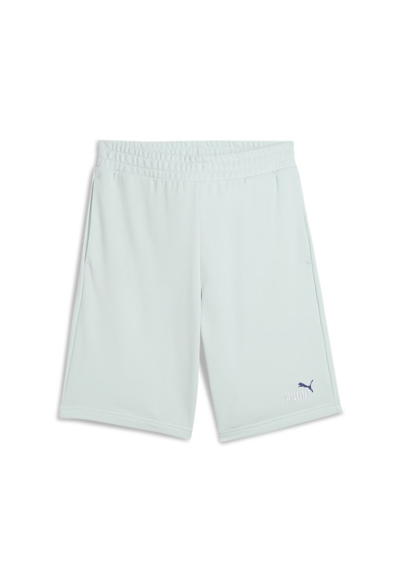 Sort  ESS 2 COLOR No. 1 Logo Shorts 10"" TR-684715-50