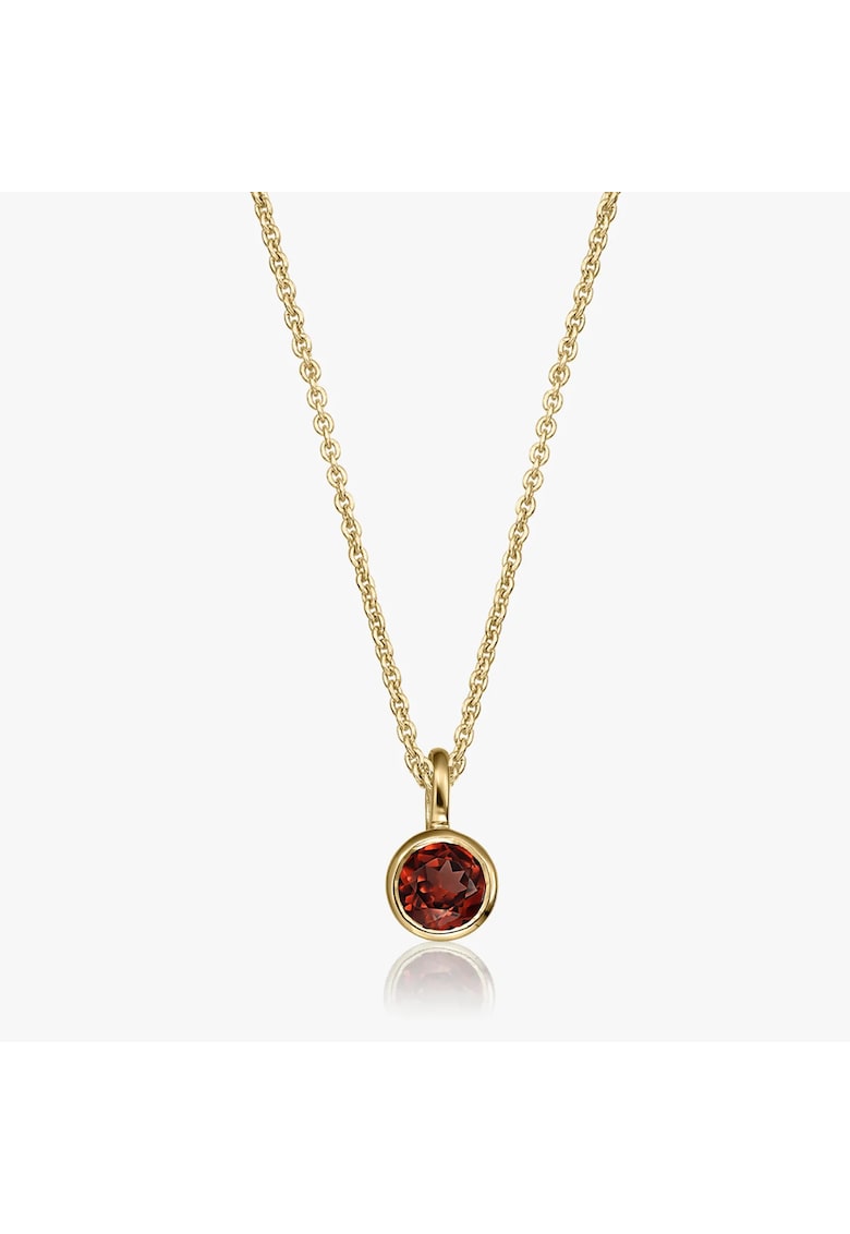 Colier din argint Birthstone Golden January - Granat