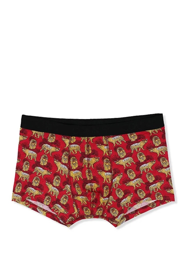 Lenjerie Intima De Barbati Modern Fit Cl1065390