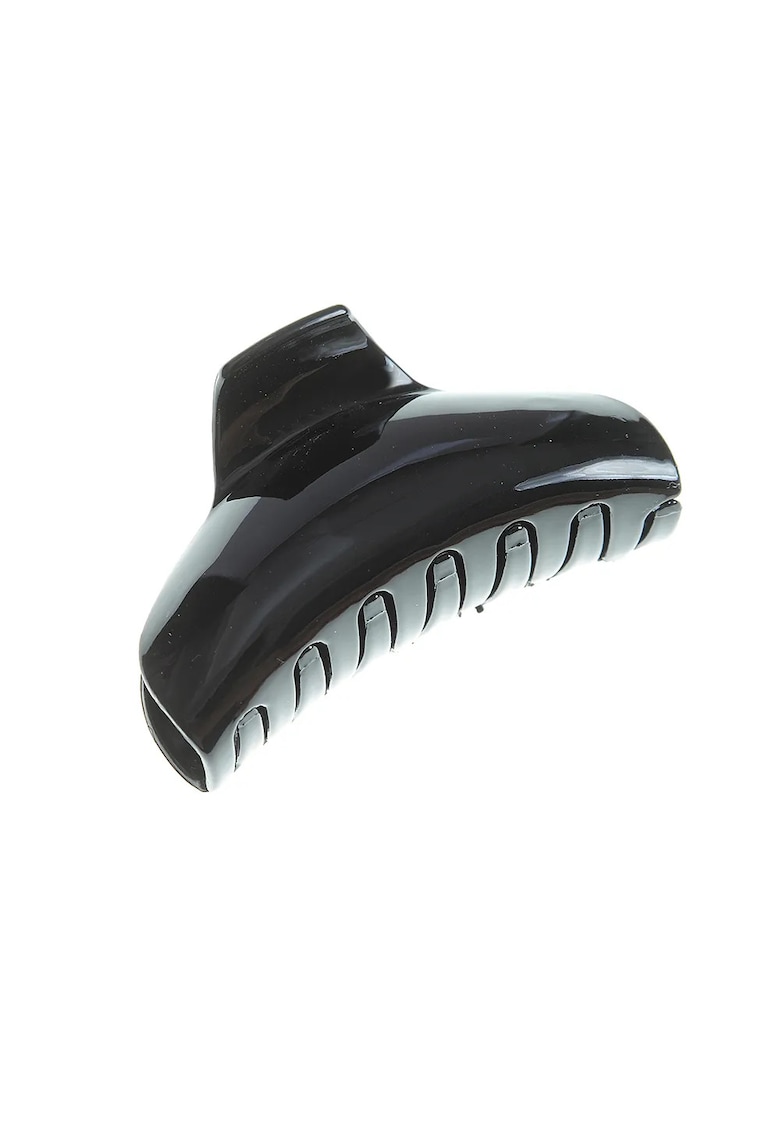 Cleste negru de par -  Paris