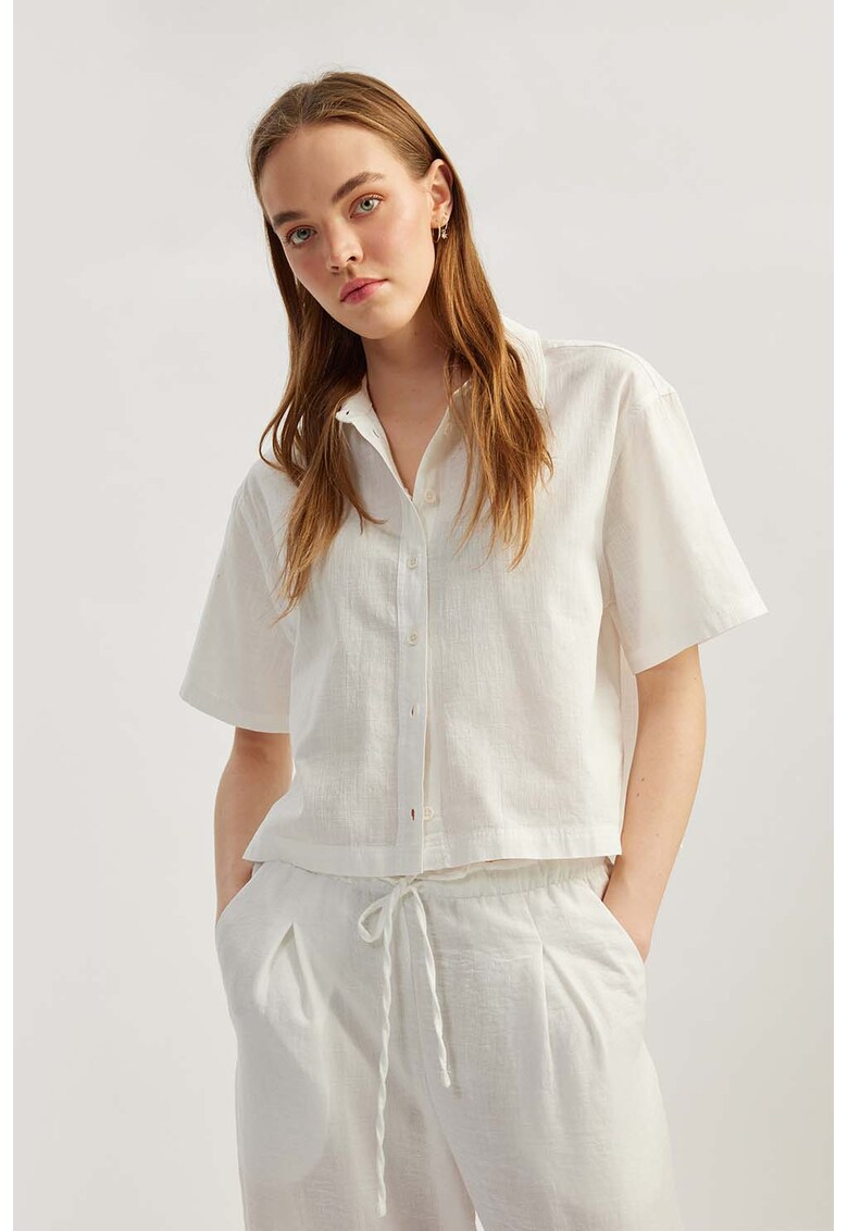 Camasa crop cu guler ascutit