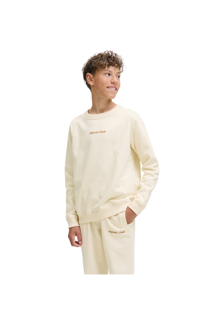 Bluza JACK &JONES Norrebro EMB JNR 47466