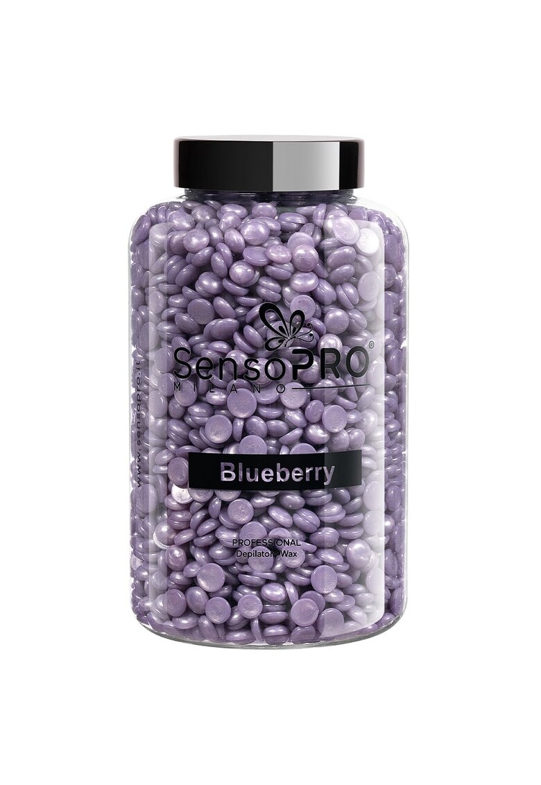Ceara Epilat Elastica Professionala Blueberry - 400g