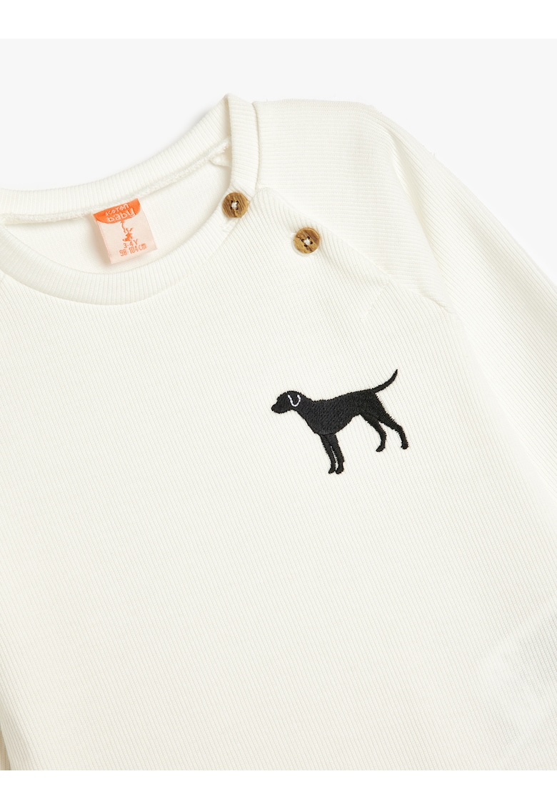 Bluza de trening striata cu maneci raglan