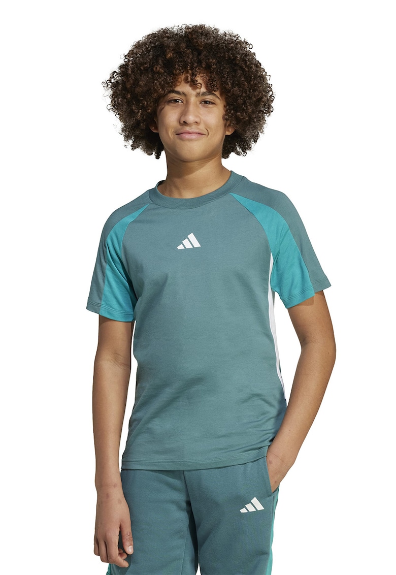 Tricou de bumbac cu maneci raglan