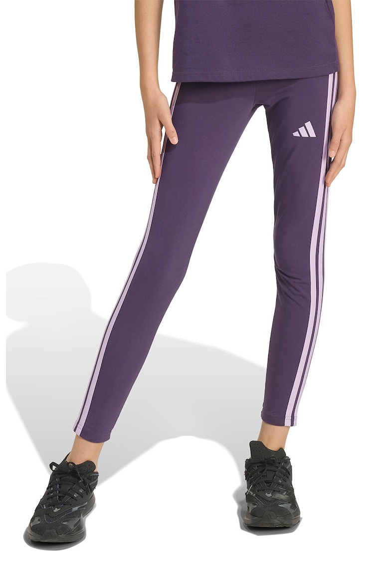 Colanti cu logo Essentials