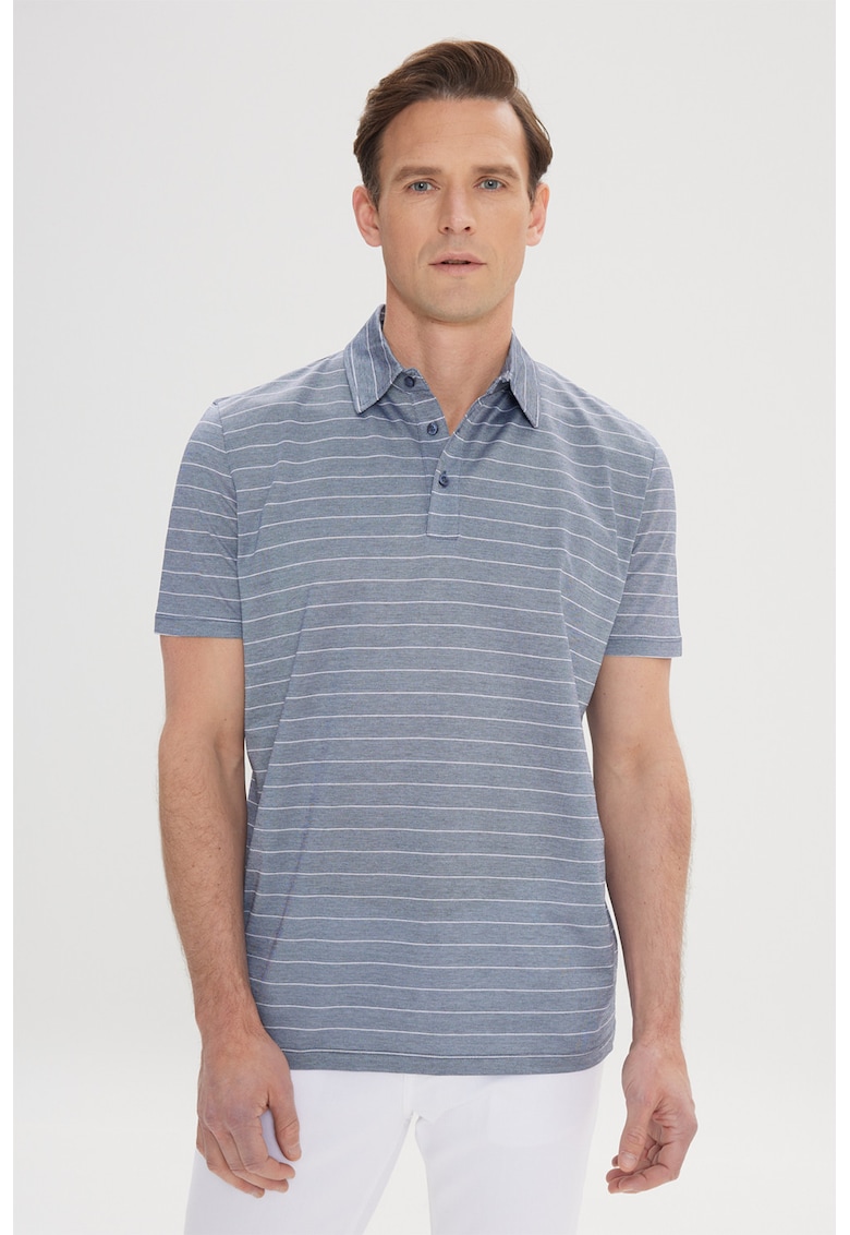 Tricou polo din bumbac cu model in dungi