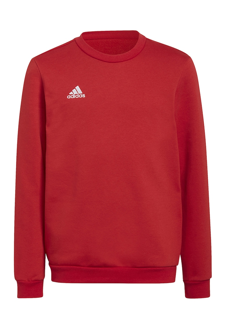 Bluza de trening pentru fotbal Entrada 22