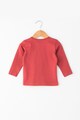 NAME IT Bluza din bumbac cu imprimeu frontal Baieti